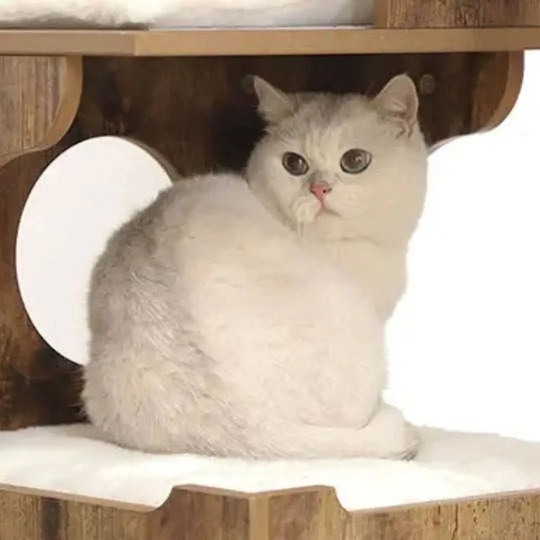 ARBRE À CHAT DESIGN en bois Refuge de Minou™ - Chatelier Paris