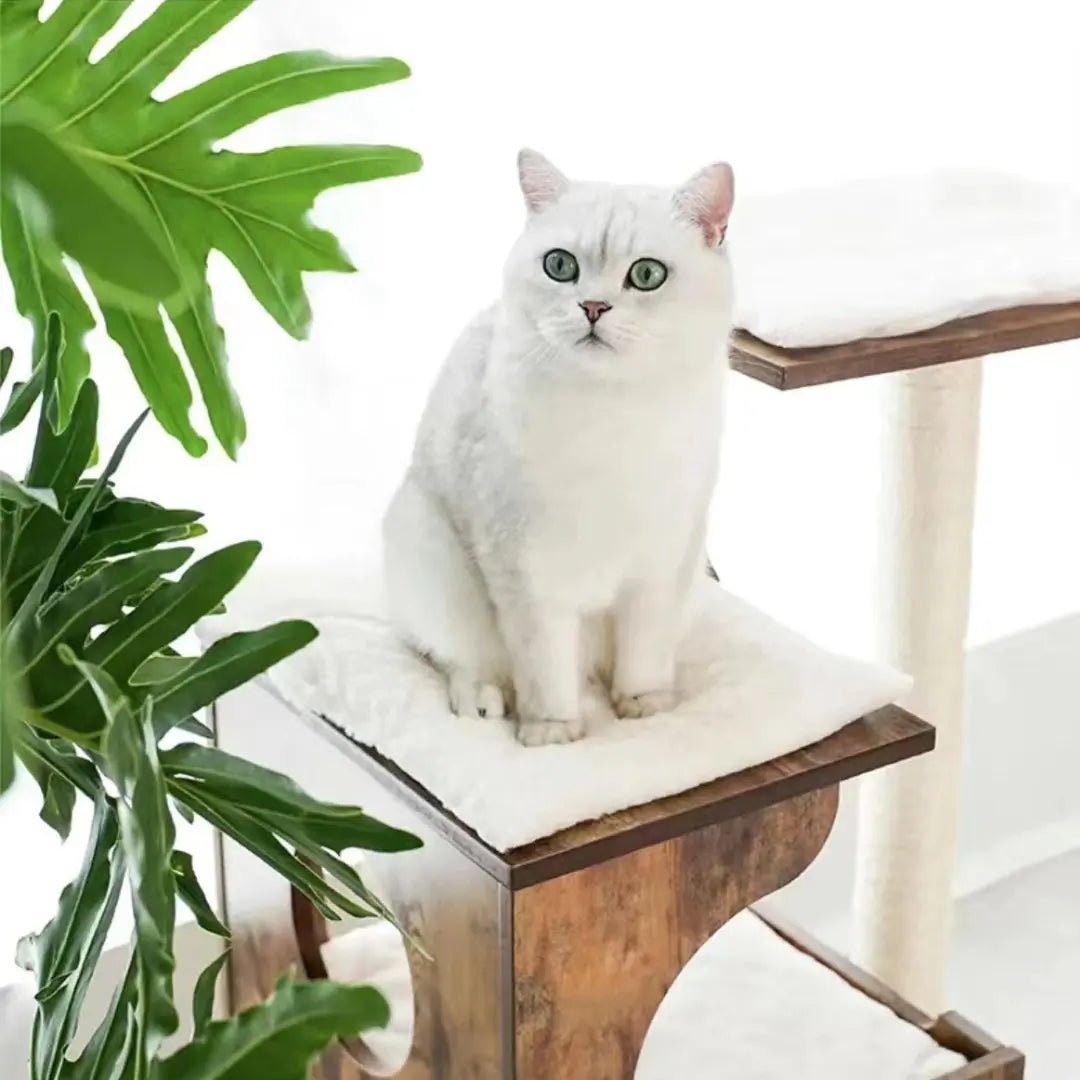 ARBRE À CHAT DESIGN en bois Refuge de Minou™ - Chatelier Paris