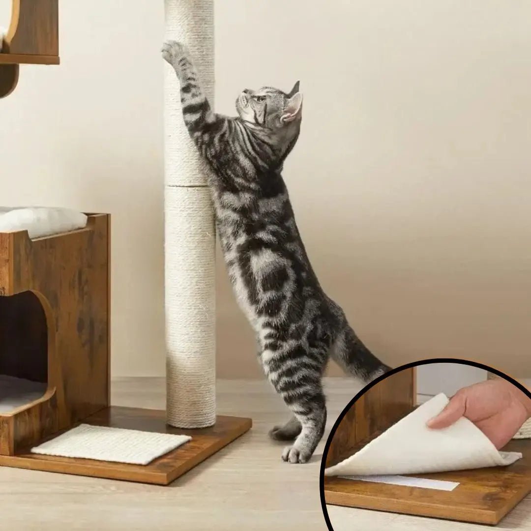 ARBRE À CHAT DESIGN en bois Refuge de Minou™ - Chatelier Paris