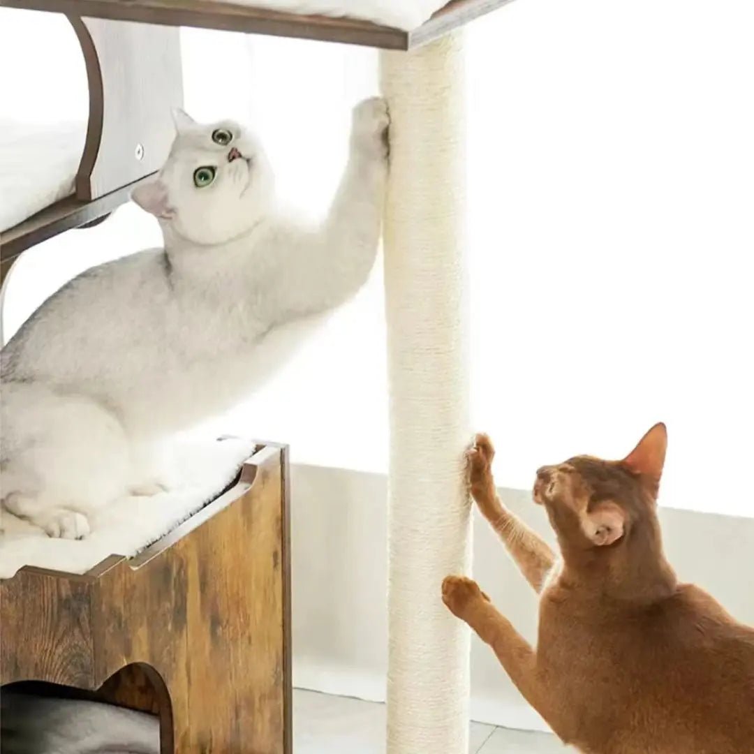 ARBRE À CHAT DESIGN en bois Refuge de Minou™ - Chatelier Paris