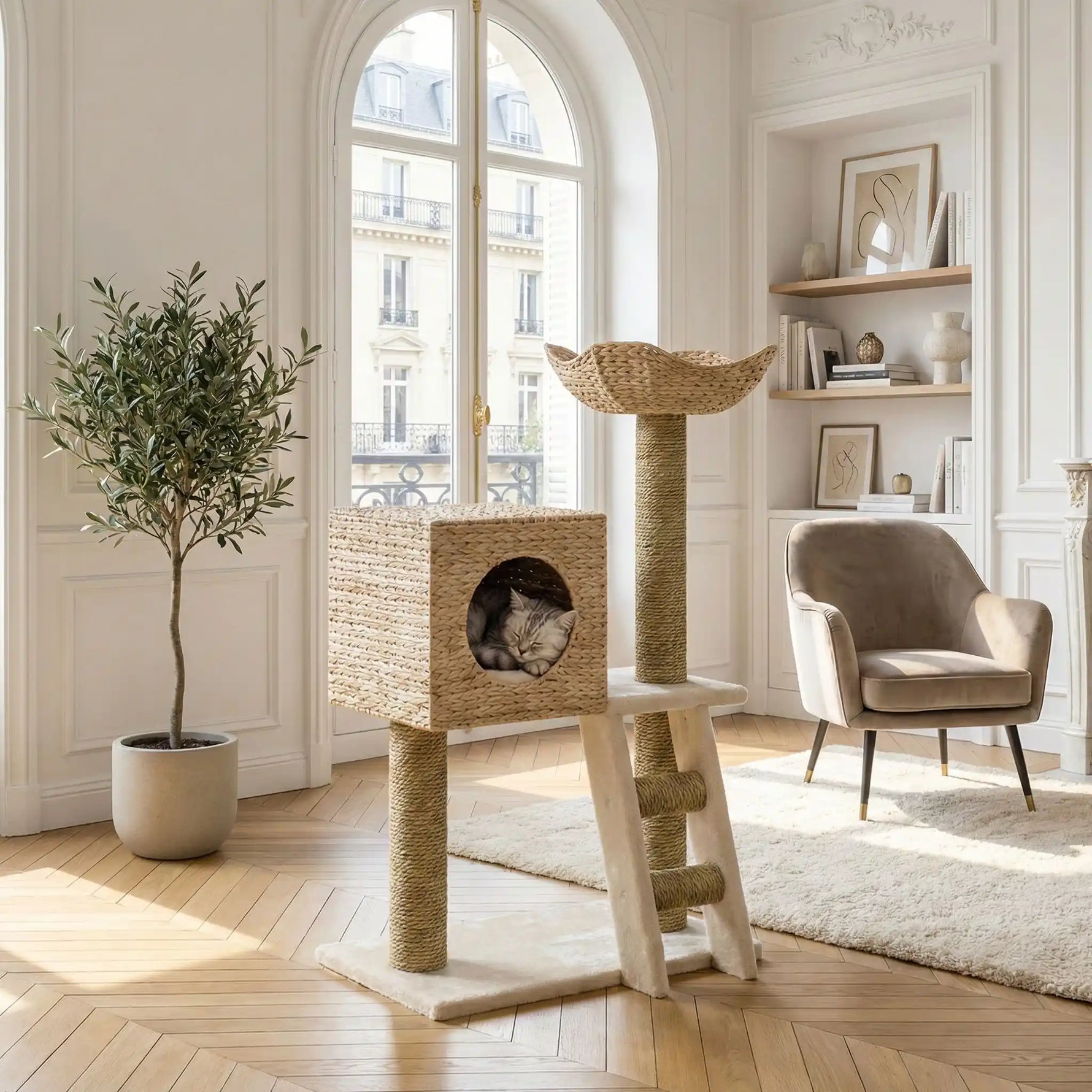 arbre a chat