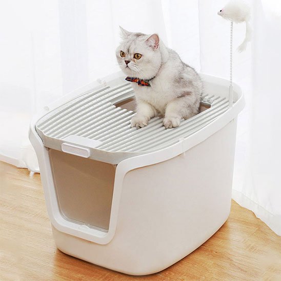 Bac à litière Chat