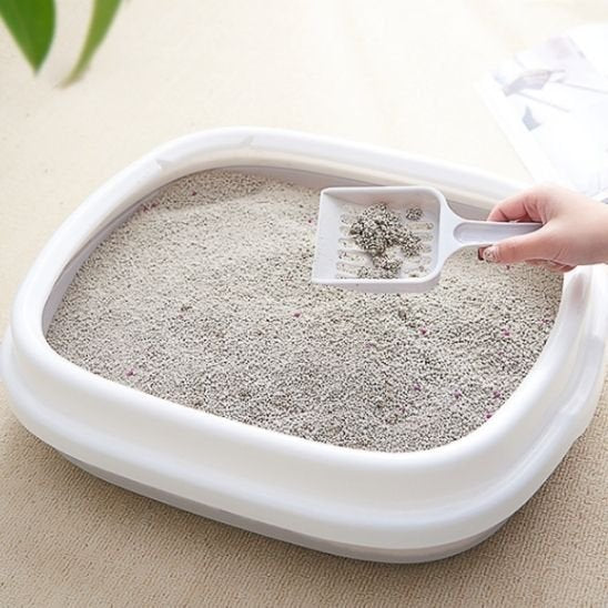 Bac à litière chat