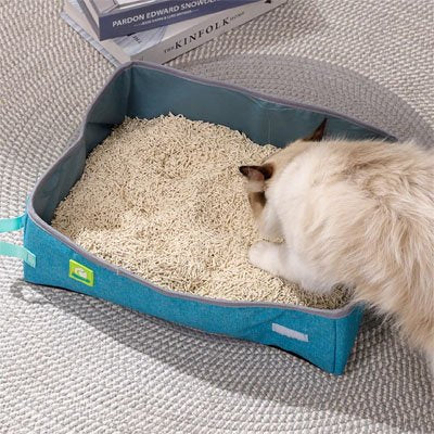 Bac à litière Chat