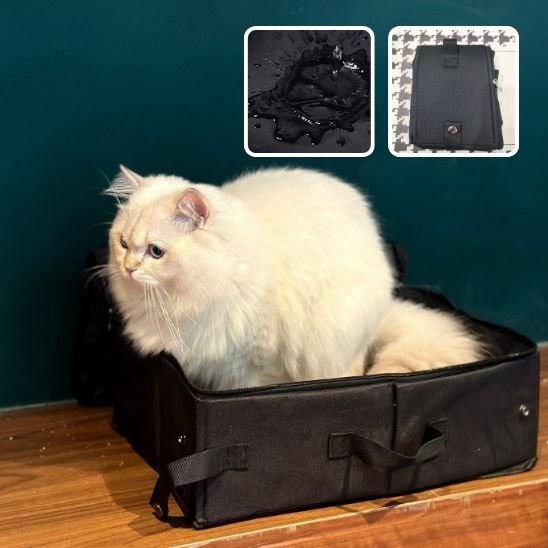 Bac à litière chat