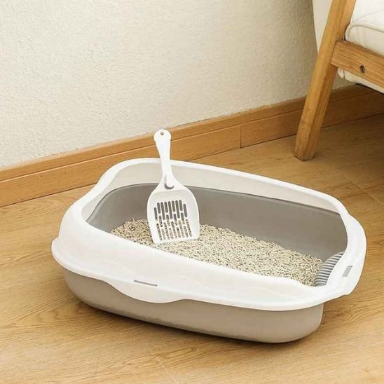 Bac à litière chat