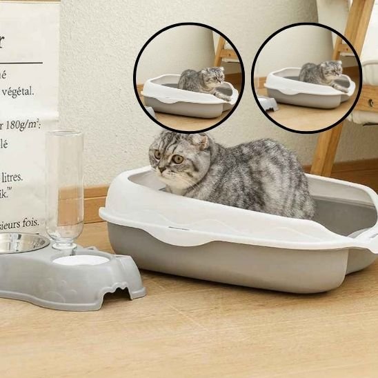 Bac à litière chat