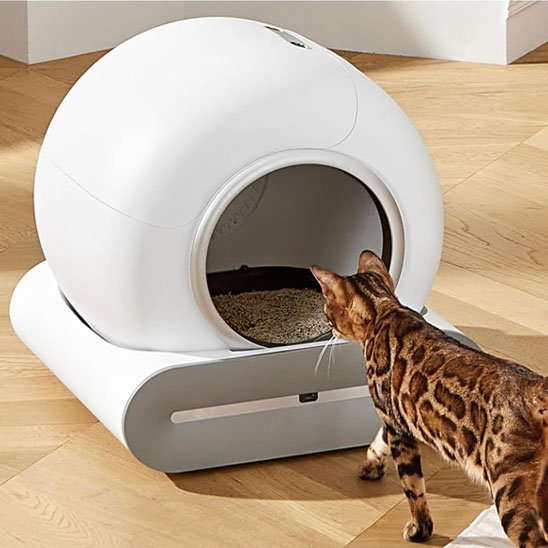 bac à litière chat 