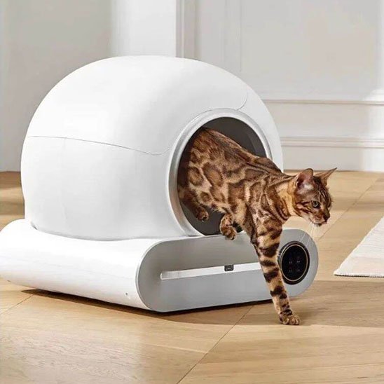 bac à litière chat 