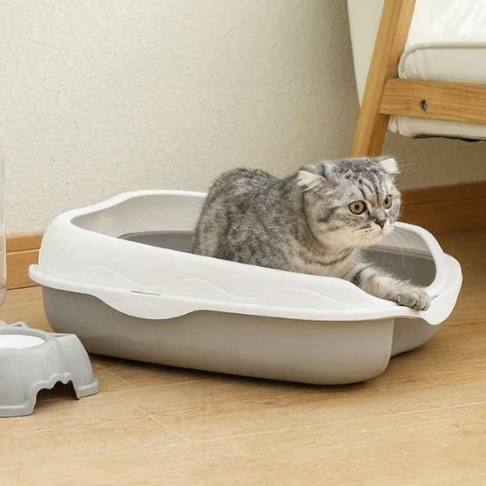 Bac à litière chat