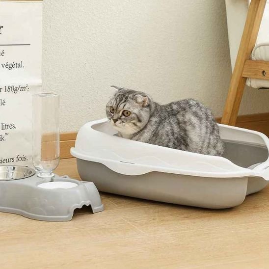 Bac à litière chat