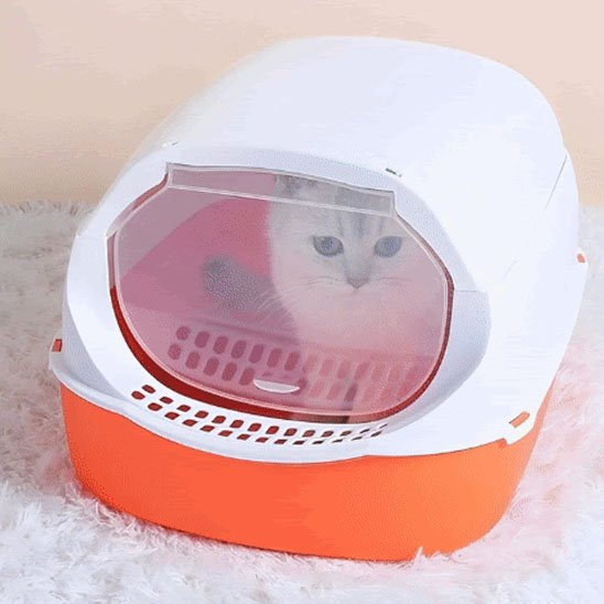 bac à litière pour chat