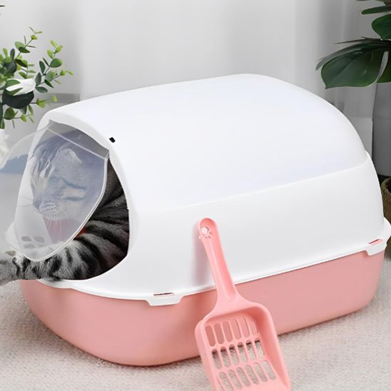 bac à litière pour chat