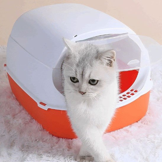 bac à litière pour chat