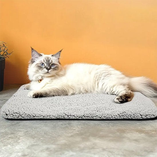 coussin chat chauffant