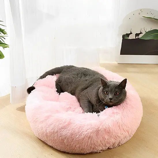 Coussin Chat Donuts Anneau - Zen™ 11 couleurs - Chatelier Paris