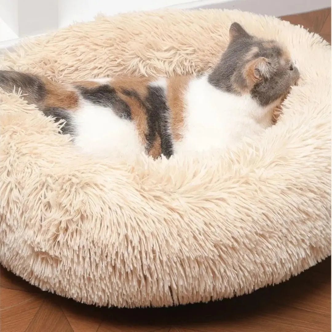 Coussin Chat Donuts Anneau - Zen™ 11 couleurs - Chatelier Paris