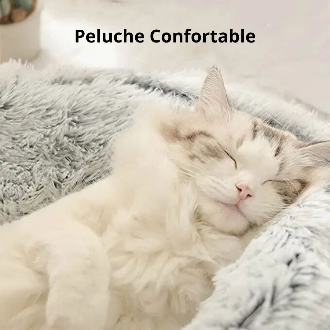 Coussin Chat Peluche Nid - Douillet™ - Chatelier Paris
