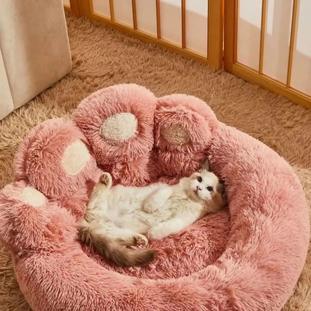 Coussin Chat Rose Câlin d'ours™ - Chatelier Paris