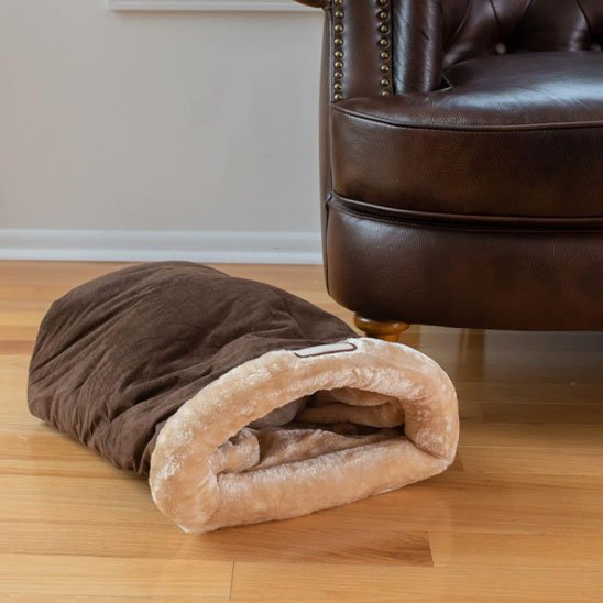 Coussin chat