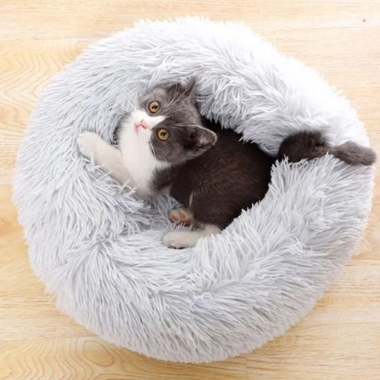 coussin chat