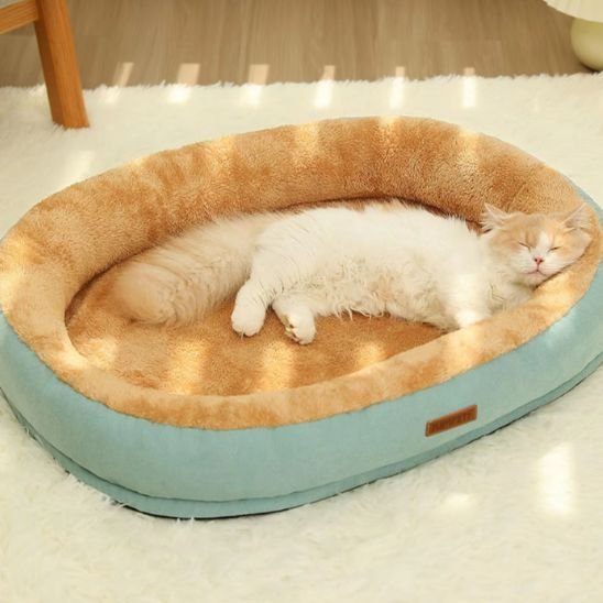 coussin chat