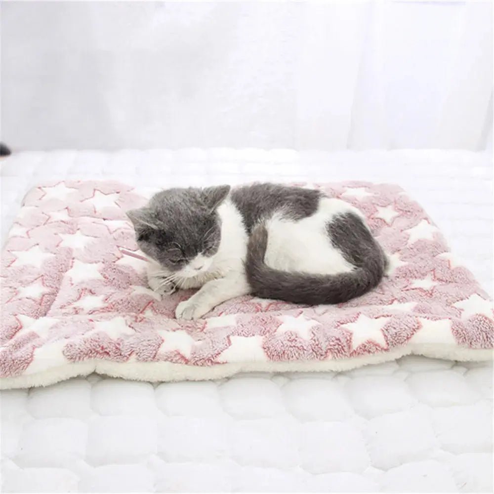 Coussin pour chat Douce - Sieste™ - Chatelier Paris