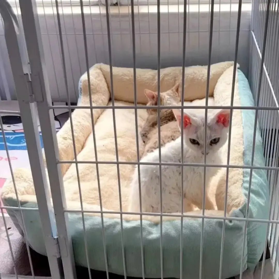 Coussin pour Chat Doux Vert Doux - Refuge™ Doux Vert - Chatelier Paris