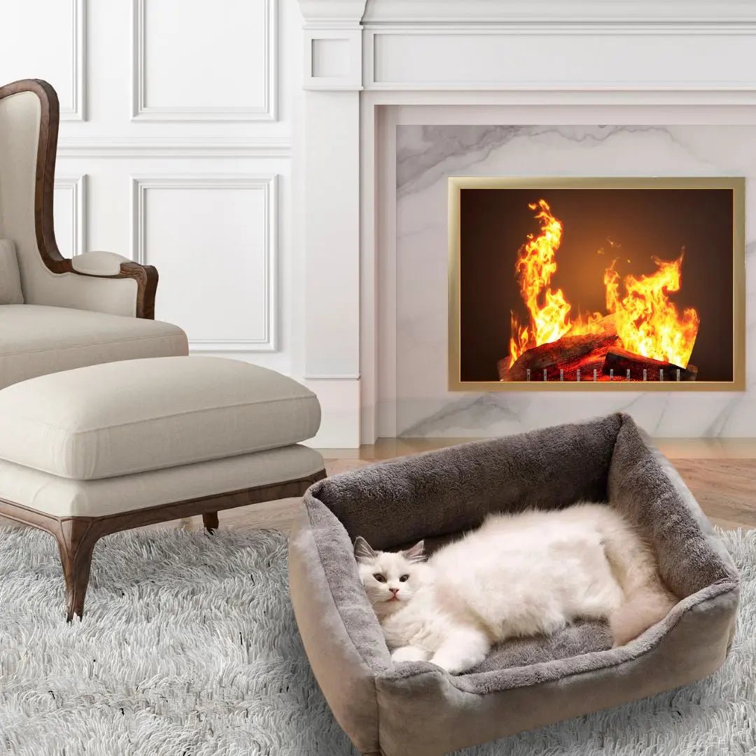 Coussin pour Chat Gris Doux - Refuge™ Gris - Chatelier Paris