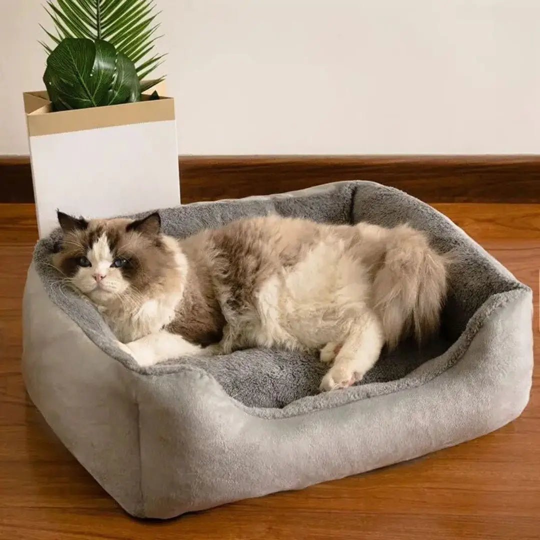 Coussin pour Chat Gris Doux - Refuge™ Gris - Chatelier Paris