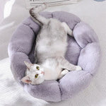 Coussin pour chat