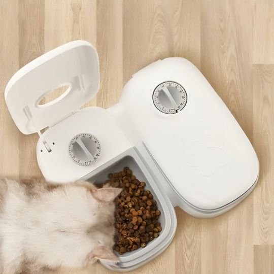 Distributeur automatique de croquettes pour chat
