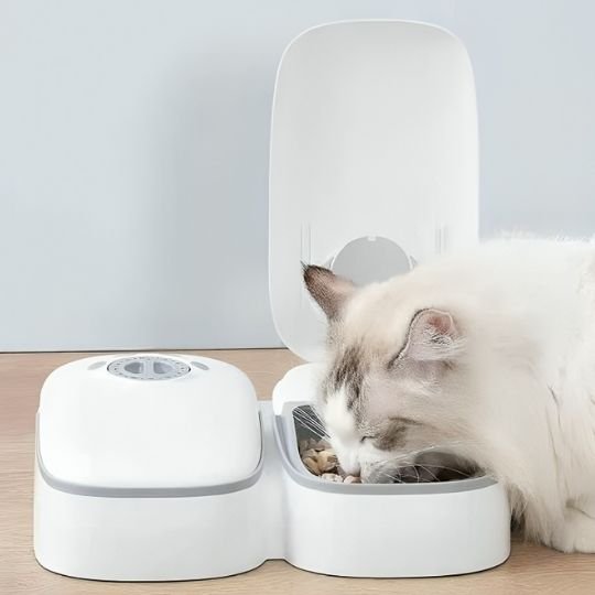 Distributeur automatique de croquettes pour chat