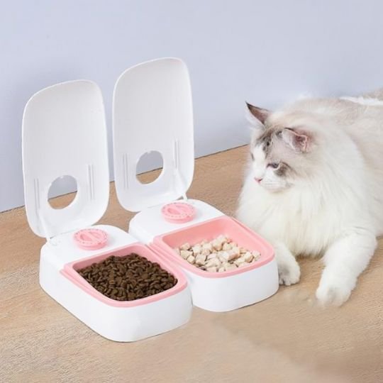 Distributeur automatique de croquettes pour chat
