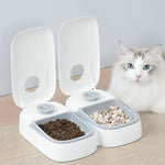 Distributeur automatique de croquettes pour chat