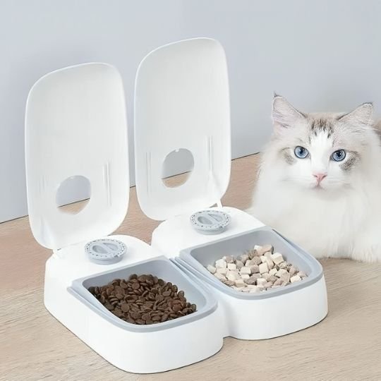 Distributeur automatique de croquettes pour chat