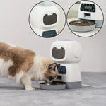 Distributeur croquette chat automatique