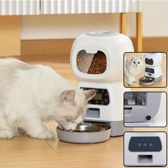 Distributeur croquette chat automatique
