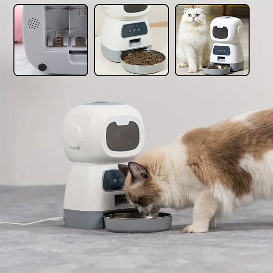 Distributeur croquette chat automatique