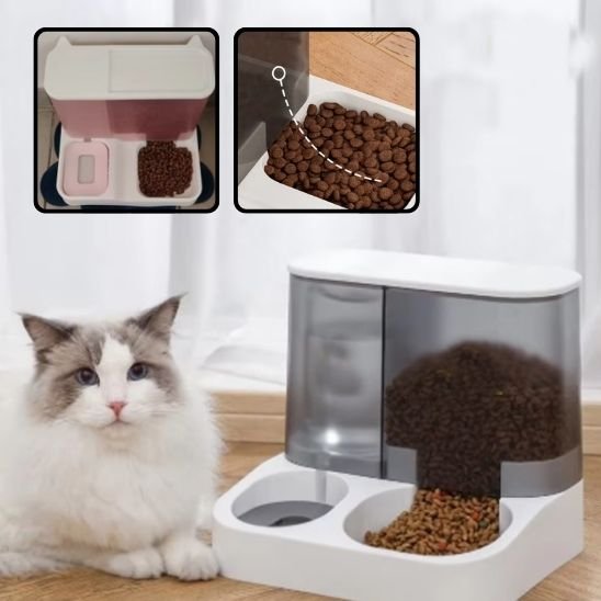 distributeur de croquettes pour chat