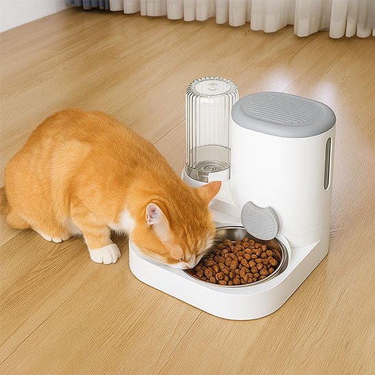 Distributeur de croquettes pour chat​ 