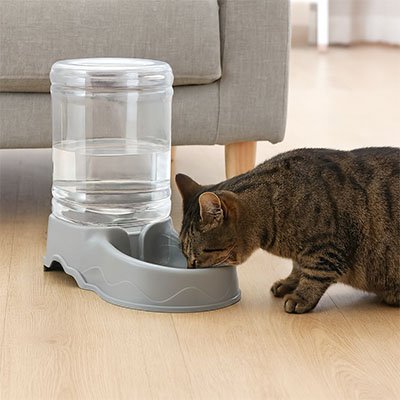 Distributeur de croquettes pour Chat