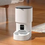 Distributeur de croquettes pour chat