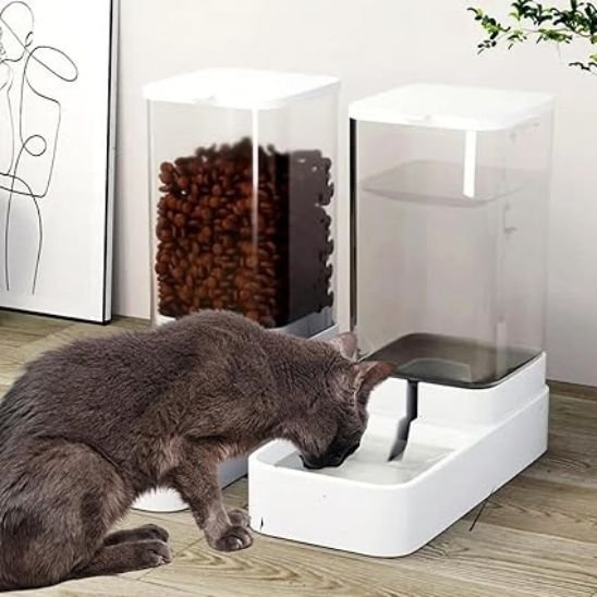 distributeur de croquettes pour chat