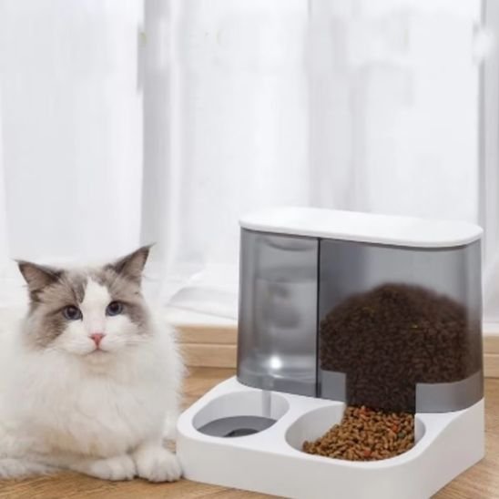distributeur de croquettes pour chat