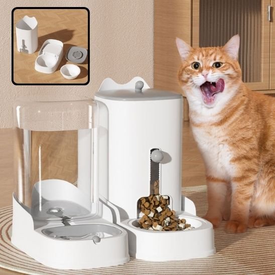 distributeur de croquettes pour chat