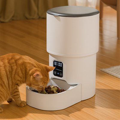 Distributeur de croquettes pour chat