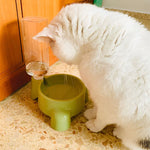 Distributeur eau chat