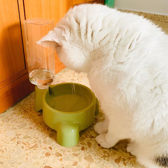 Distributeur eau chat