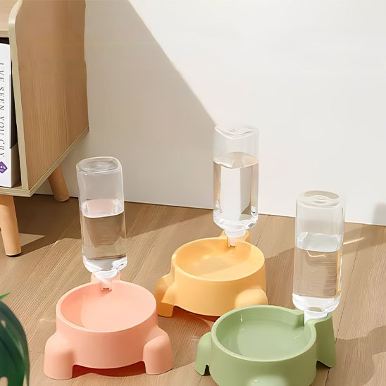 Distributeur eau chat